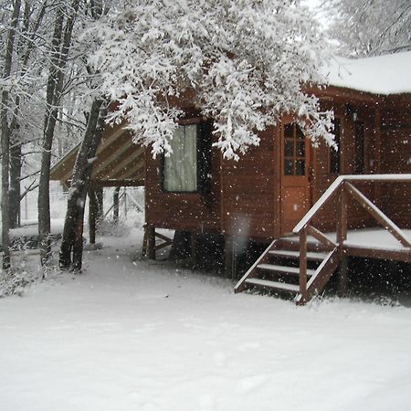 Cabanas Roble Quemado Las Trancas Esterno foto