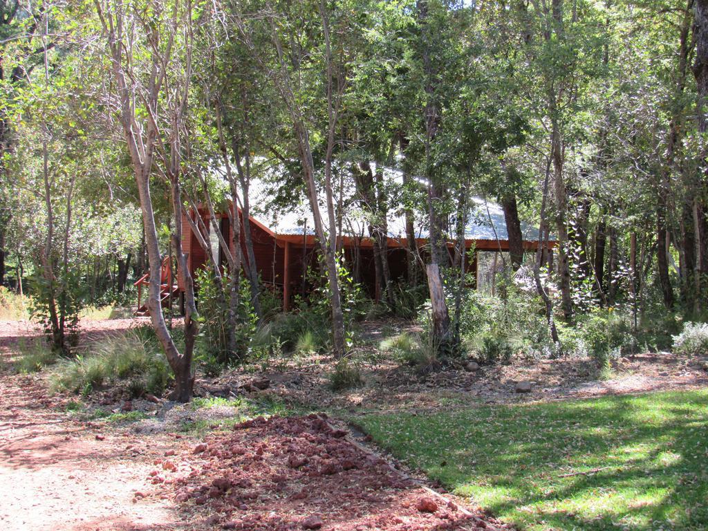 Cabanas Roble Quemado Las Trancas Esterno foto