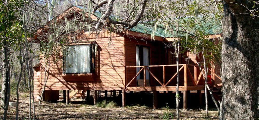 Cabanas Roble Quemado Las Trancas Esterno foto