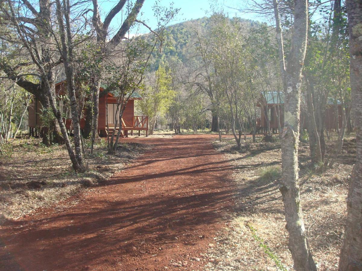 Cabanas Roble Quemado Las Trancas Camera foto