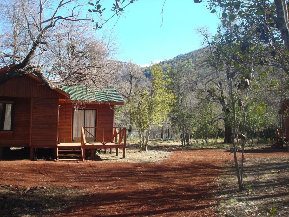 Cabanas Roble Quemado Las Trancas Camera foto