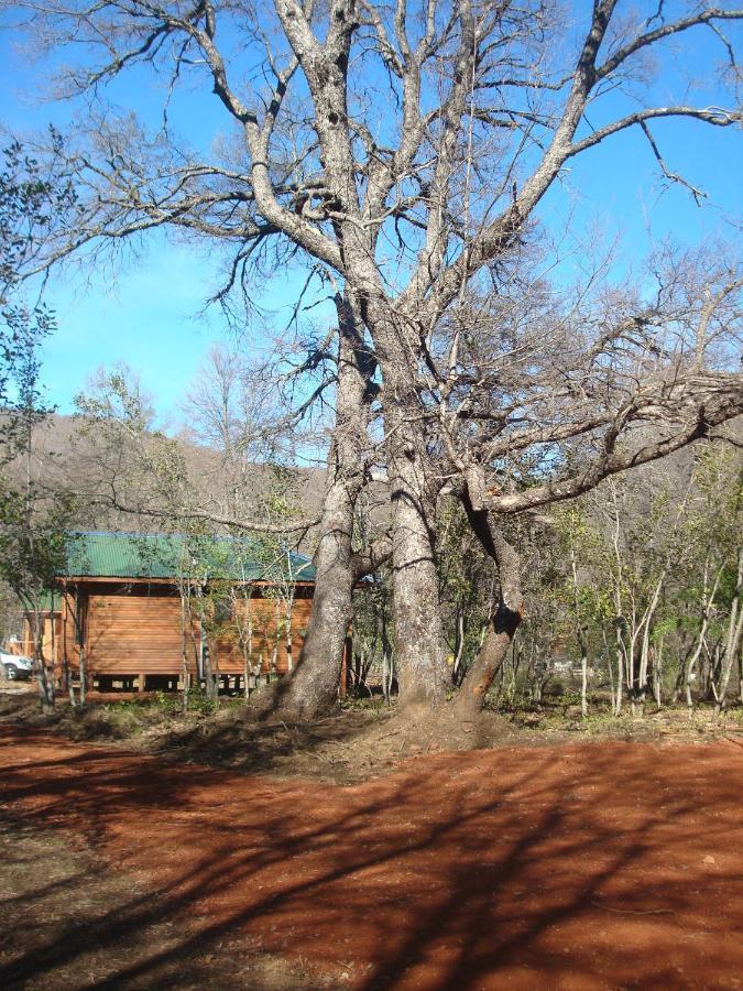 Cabanas Roble Quemado Las Trancas Camera foto